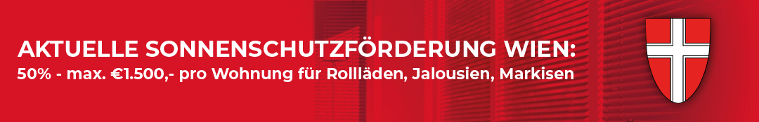 191210_Web_Aktionsbanner